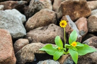 What Are the Best Plants to Eat in a Survival Situation?