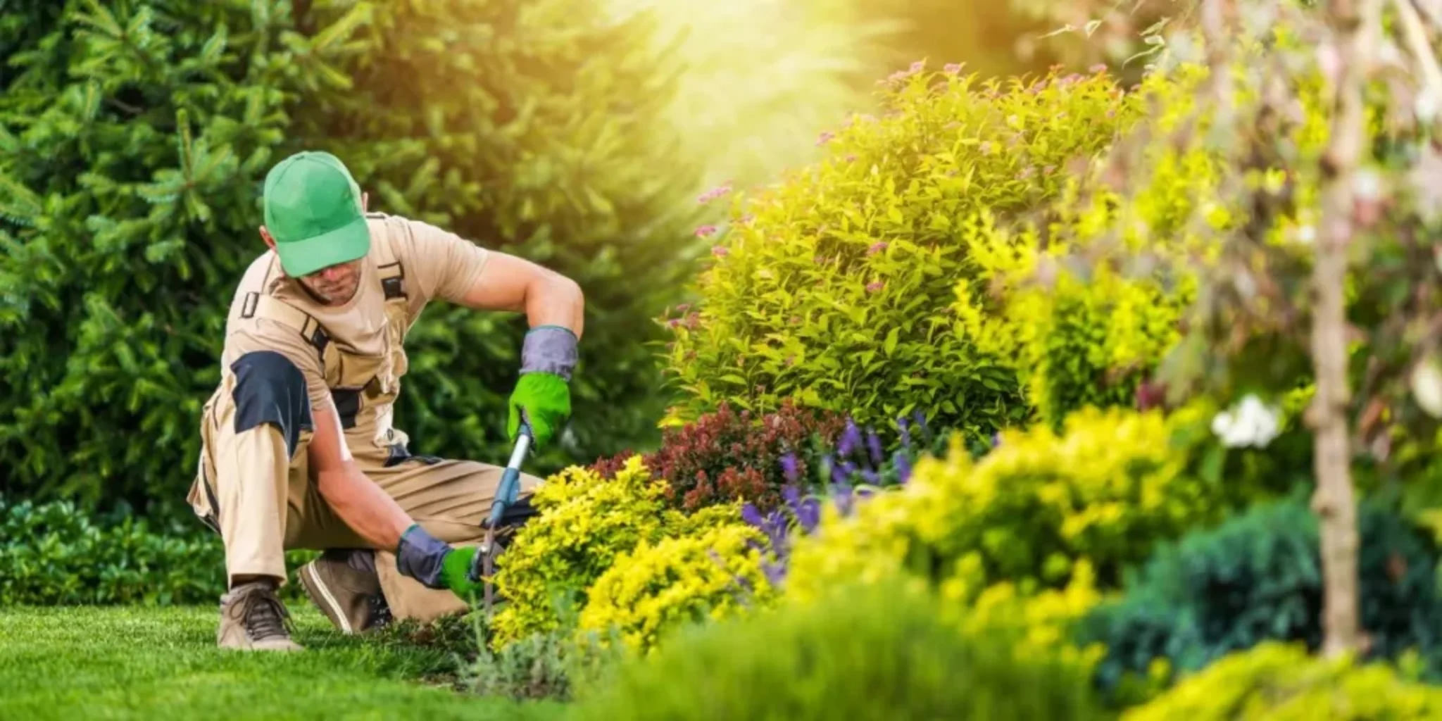 What Are the Essentials of a Low-Maintenance Garden Design?