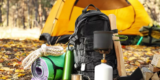 Lessons From Real-Life Survival Stories