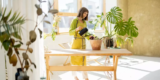 What Are the Best Indoor Plants for Beginners?