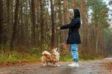 How Can Smart Sensors Help You Understand Your Pet’s Behavior?